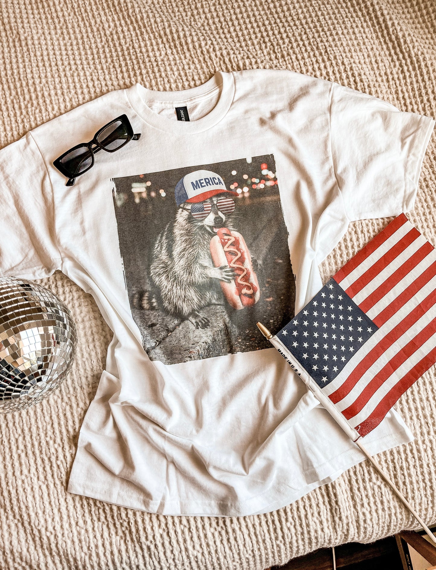 America Raccoon