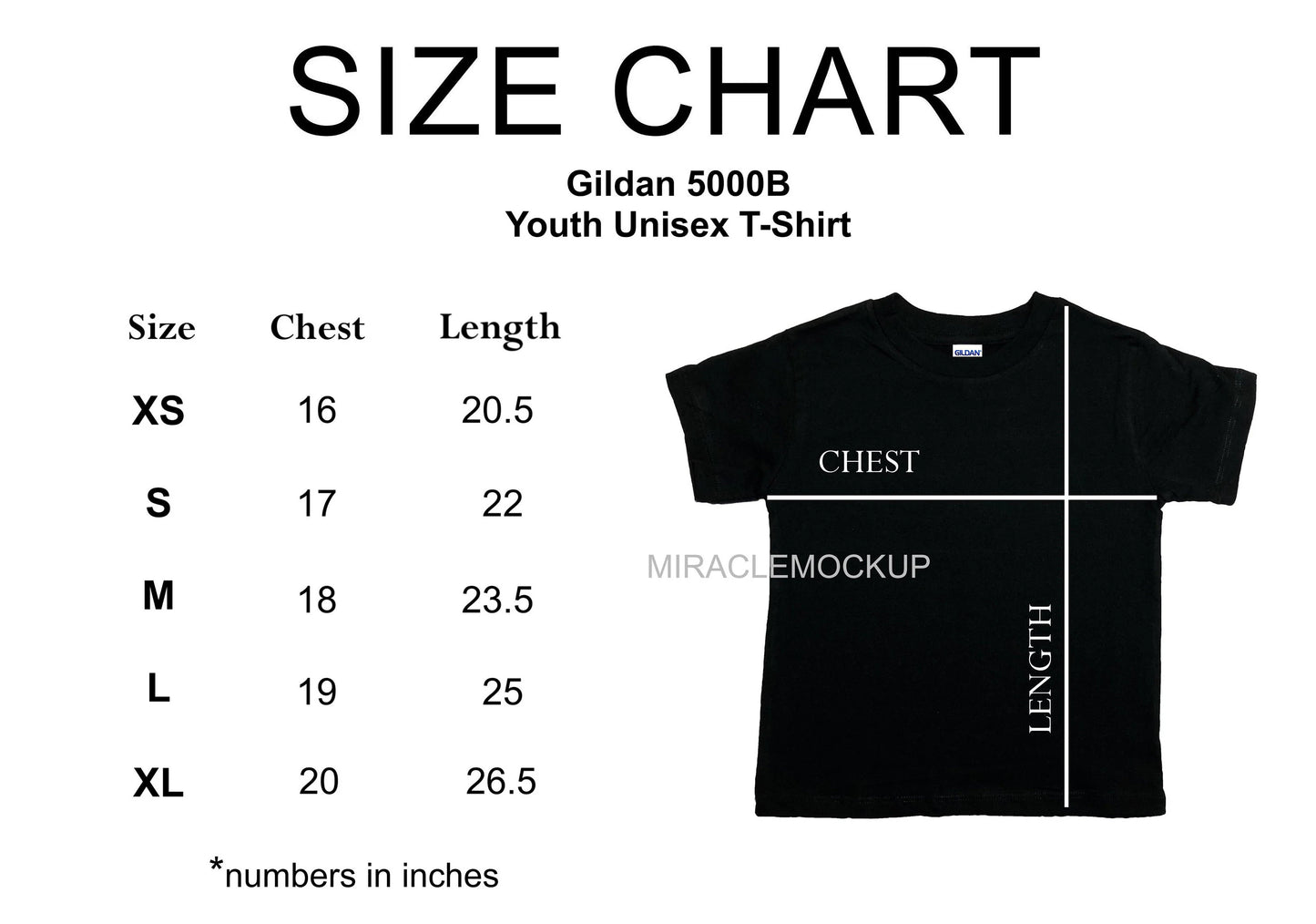Retro Rebels Adult and Youth T-shirt